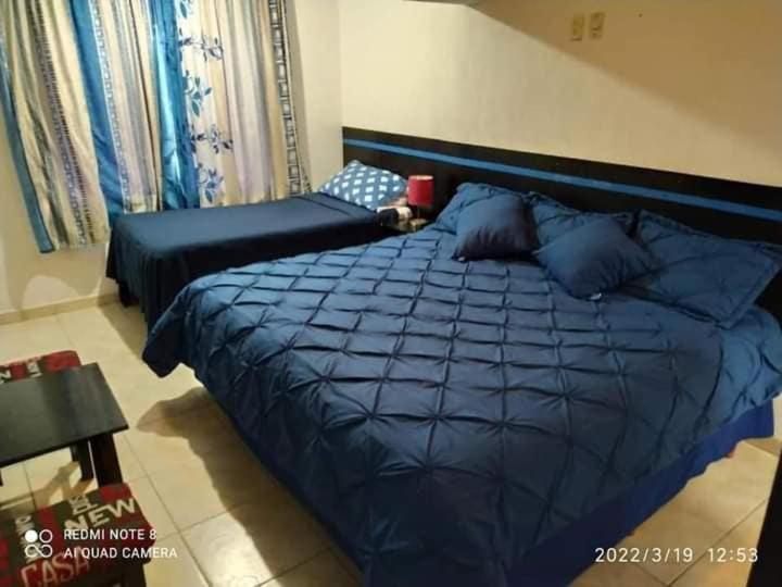 Hotel Vithez タンピコ エクステリア 写真